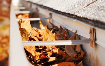Stalmine Moss Side gutter cleaning companies