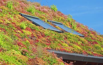 Stalmine Moss Side living roof systems