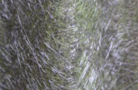 Stalmine Moss Side fibreglass roof work